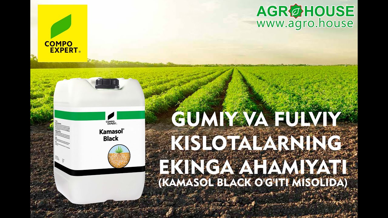 Gumiy va Fulviy kislotalarning ekinga ahamiyati (Kamasol Black o'g'iti misolida) #agrohouse #agro
