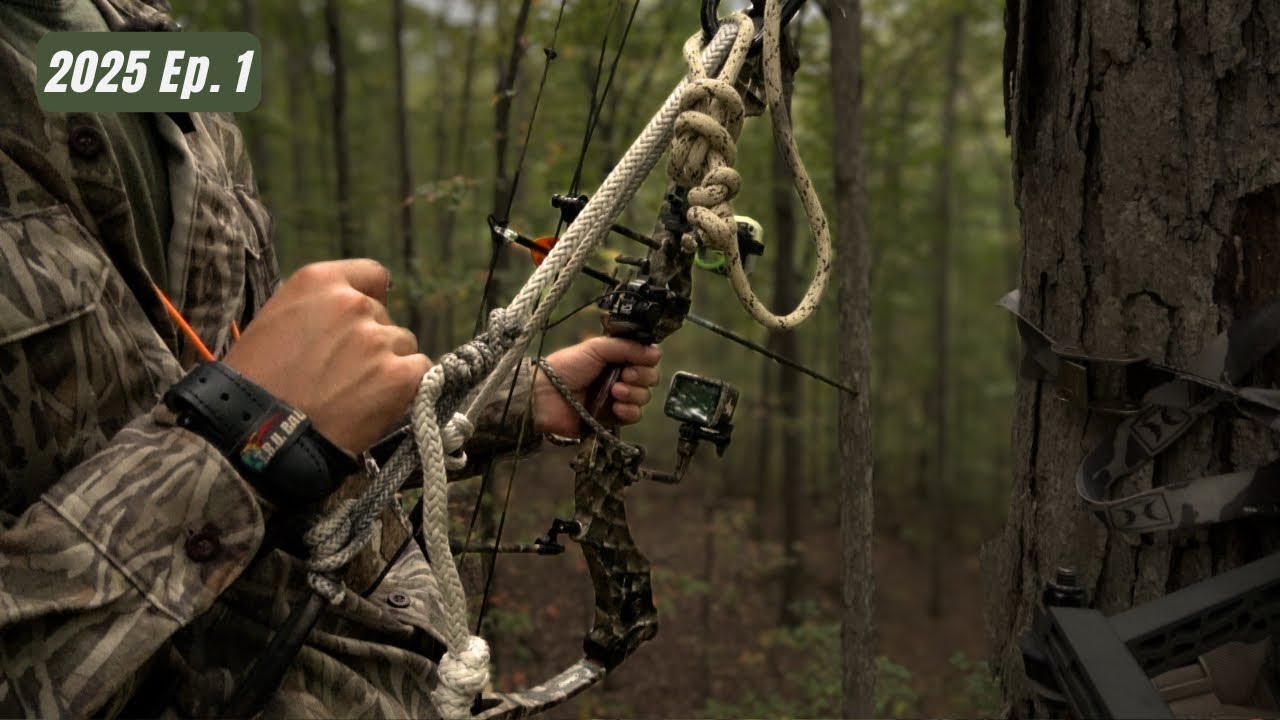 Back in the Deer Woods (PUBLIC LAND)