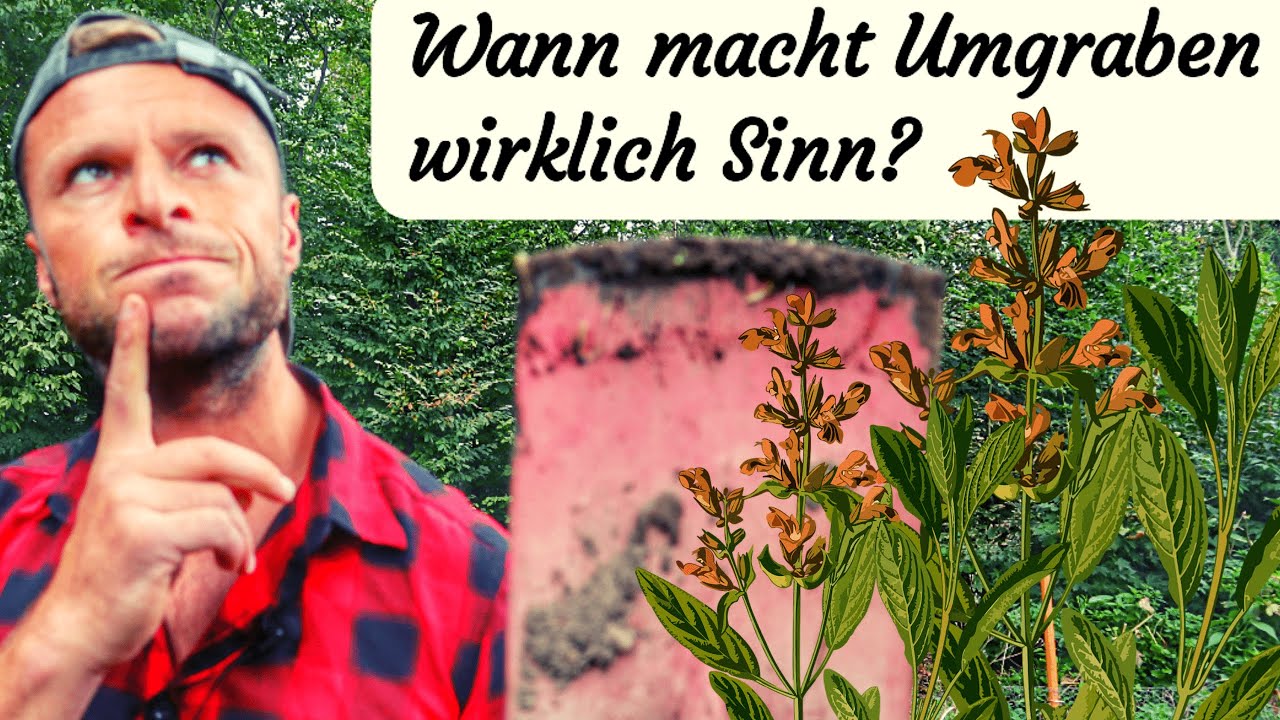 Wann macht Umgraben wirklich Sinn?