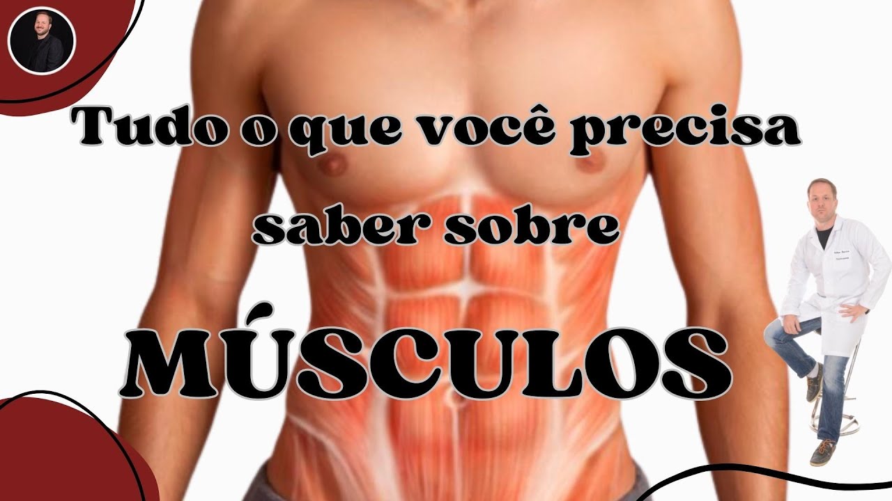 Tudo o que você precisa saber sobre o sistema muscular - SISTEMA MUSCULAR ESQUELÉTICO EM 01 AULA