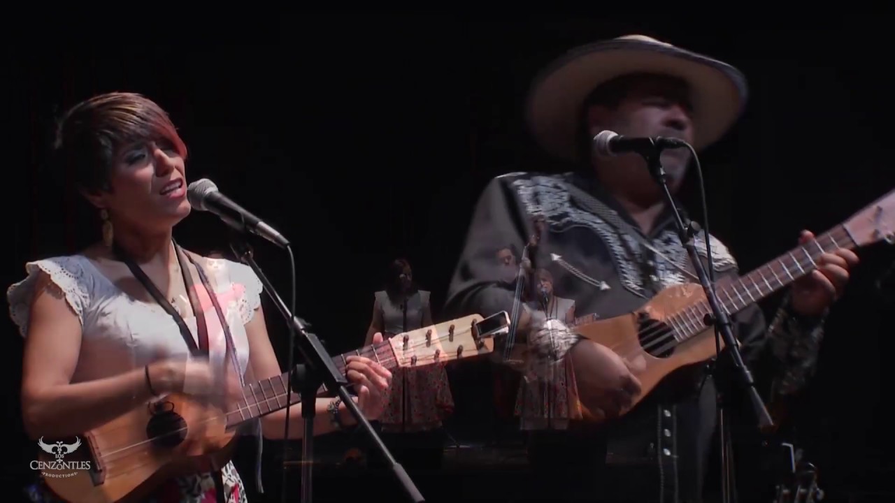 Los Cenzontles - Los Juiles Live at the Kennedy Center