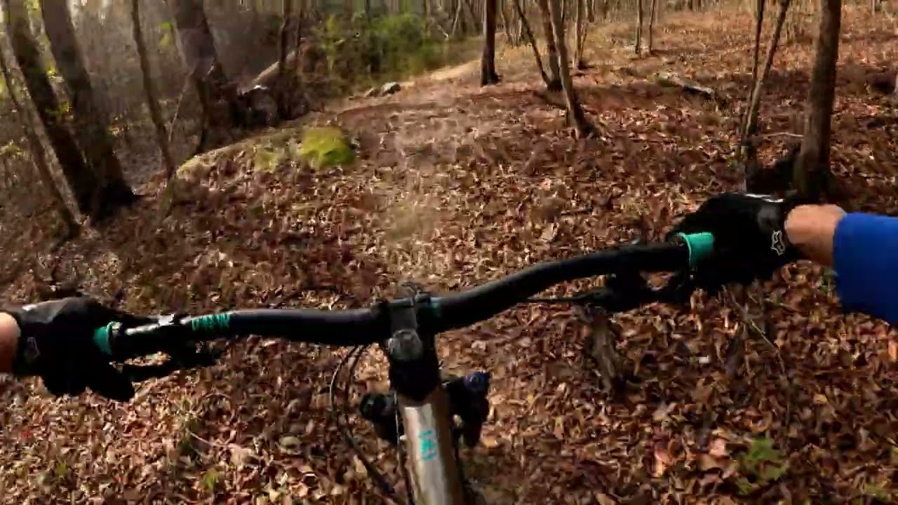 Leaf Surfing and Endurance Training at Pumpkinvine Creek