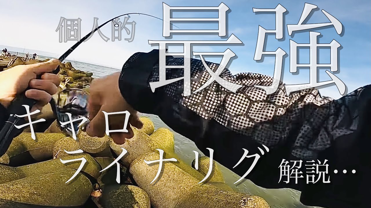 【最強？？】アジングでキャロライナリグが最強すぎた…常時安定したパフォーマンスこそ最強？！解説！！【倍速推奨】