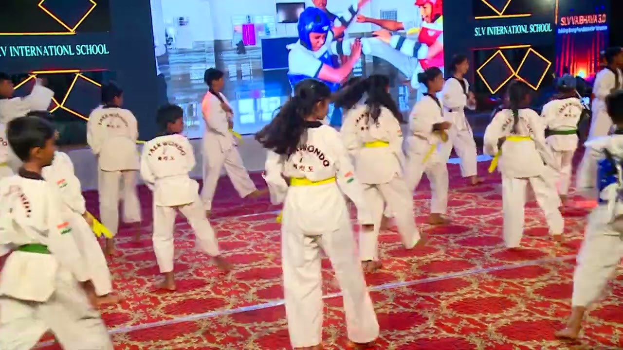 Annual Day Taekwondo 16