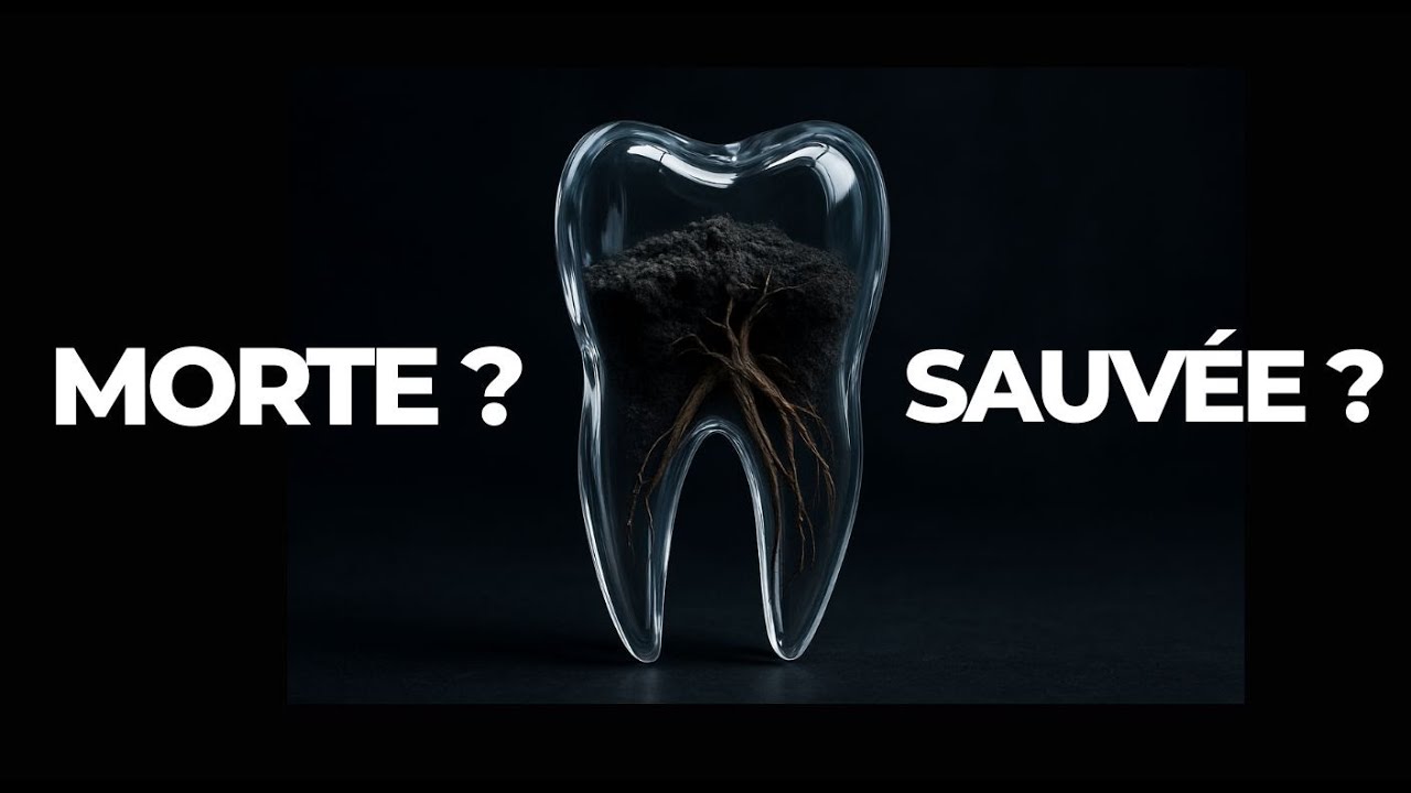 DÉVITALISATION : le Mythe de la 