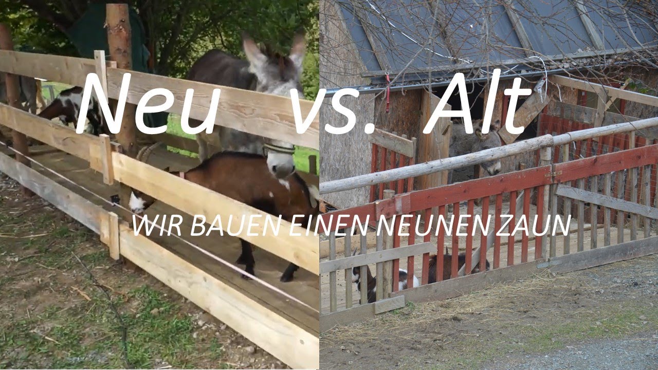 Wie ich bei meinen Eseln einen neuen Zaun mit einer Honda F800 baue, Holzzaun mit Tor selber bauen,