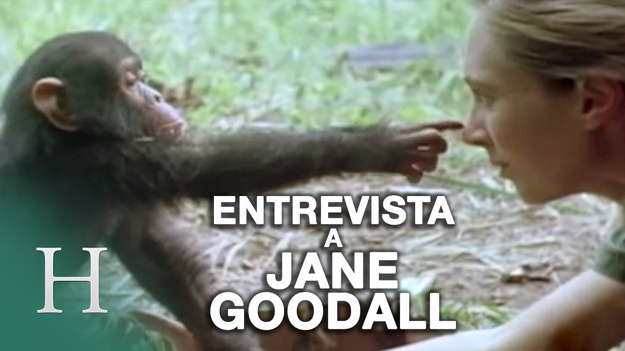 Entrevista a Jane Goodall