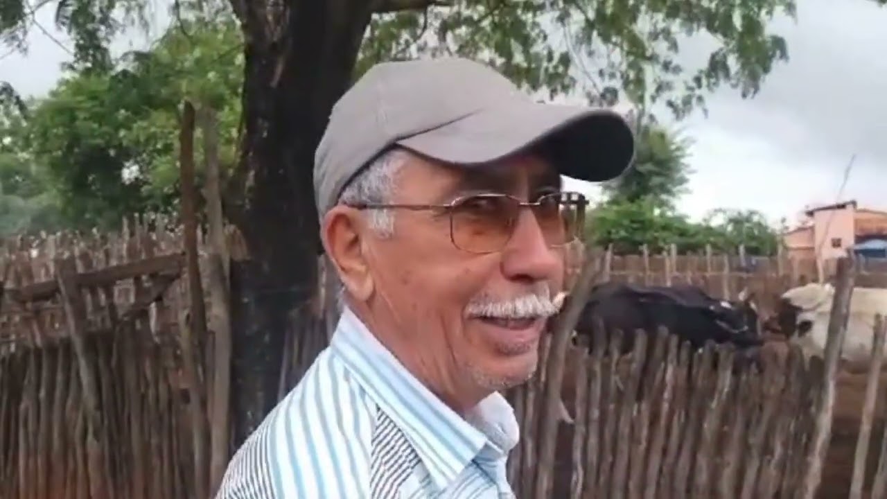 Tirando leite das vacas no Curral no Sertão Nordestino, estradas do Nordeste,  Gendilson