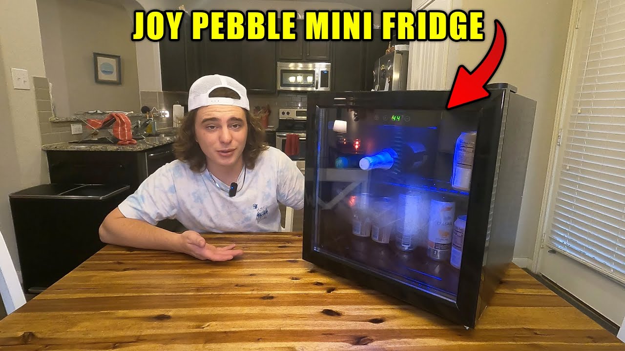 Budget Mini Fridge Review! (Joy Pebble Mini Fridge)