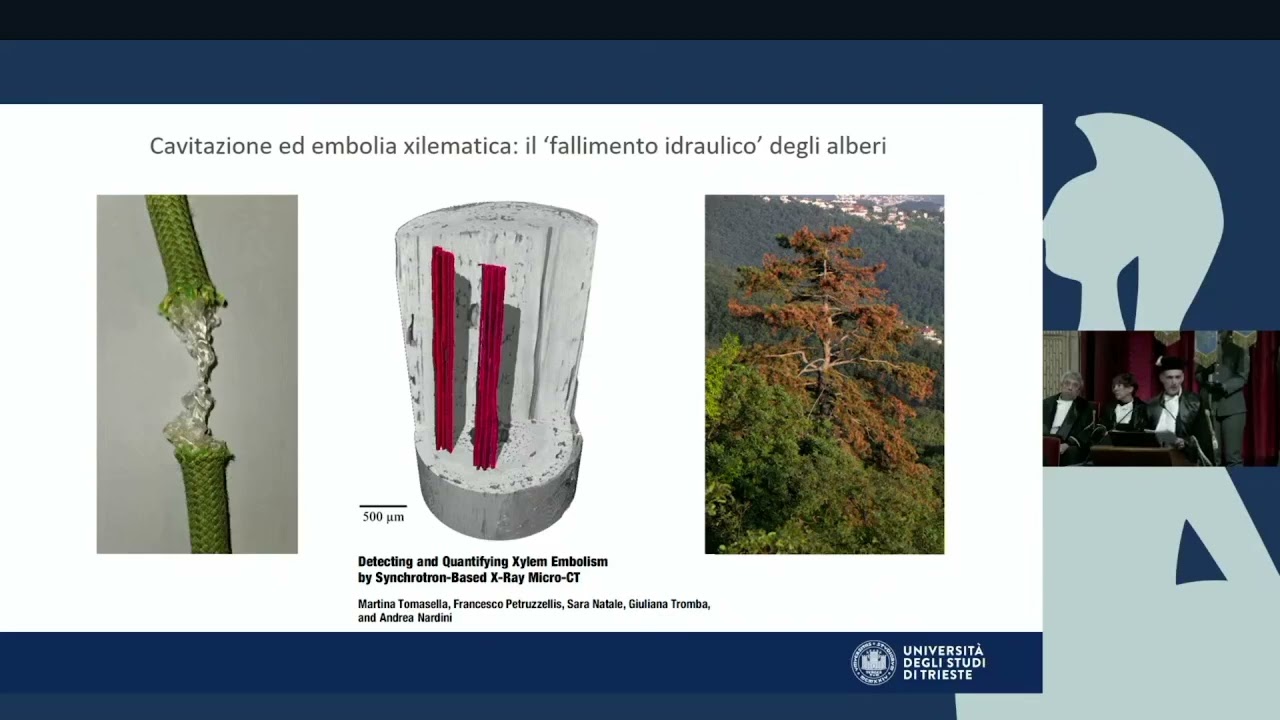 Prolusione del Prof. Andrea Nardini in occasione dell'inaugurazione dell'a.a. UniTs 2024-2025