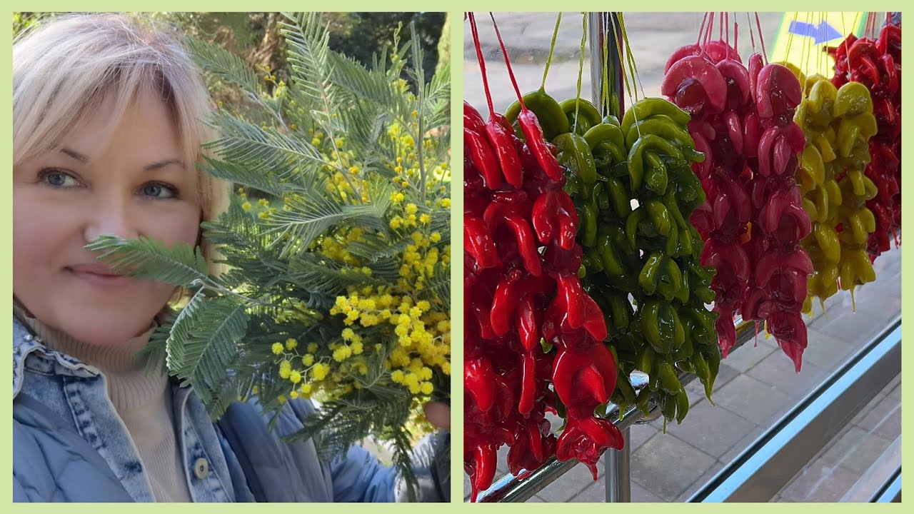 Адлер Весной 🌿Заселение в отель Portobello .Обзор номера Завтрак шведская линия, Прогулка,Покупки 🛍️