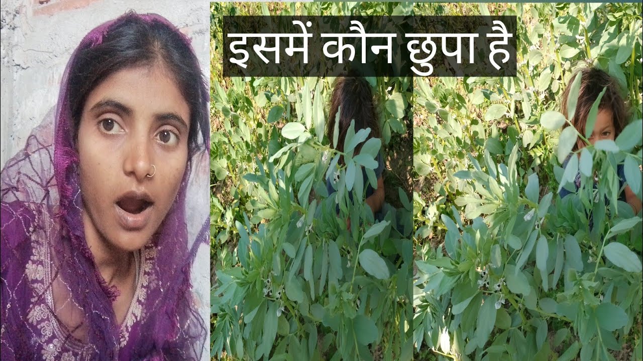 इसमें कौन छुपा है🤔/Isme kaun chhupa hai🤔/Aarti yadav vlog🙏