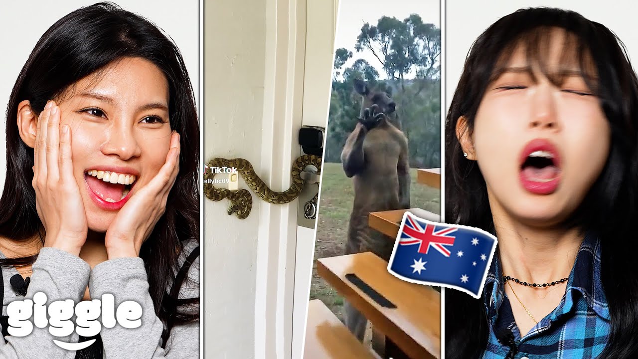 Koreans React To 