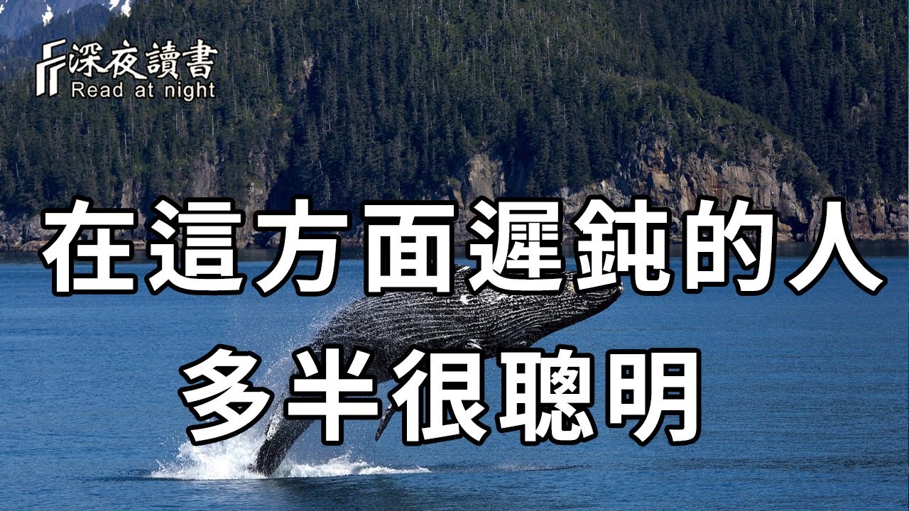 遲鈍竟是一種競爭力！在這個方面越遲鈍的人，為人反而越聰明【深夜讀書】