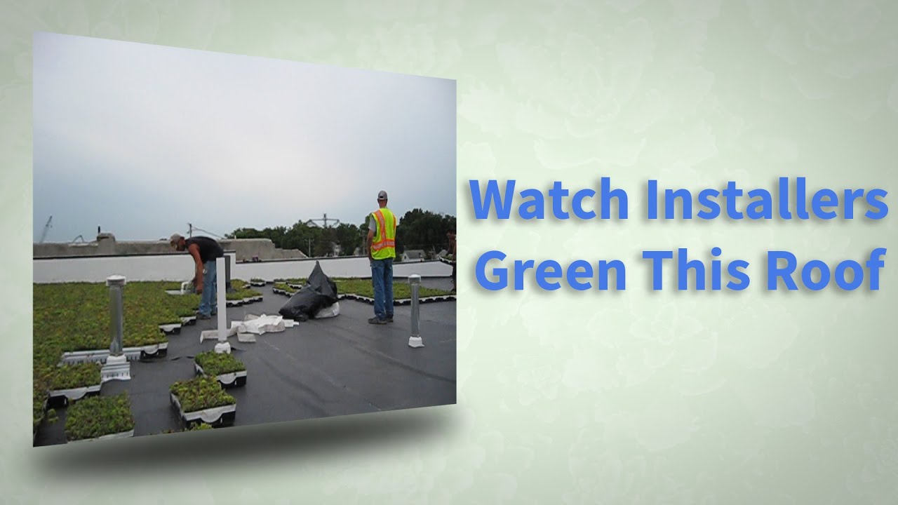Green Roof Installation in Woodbine Iowa