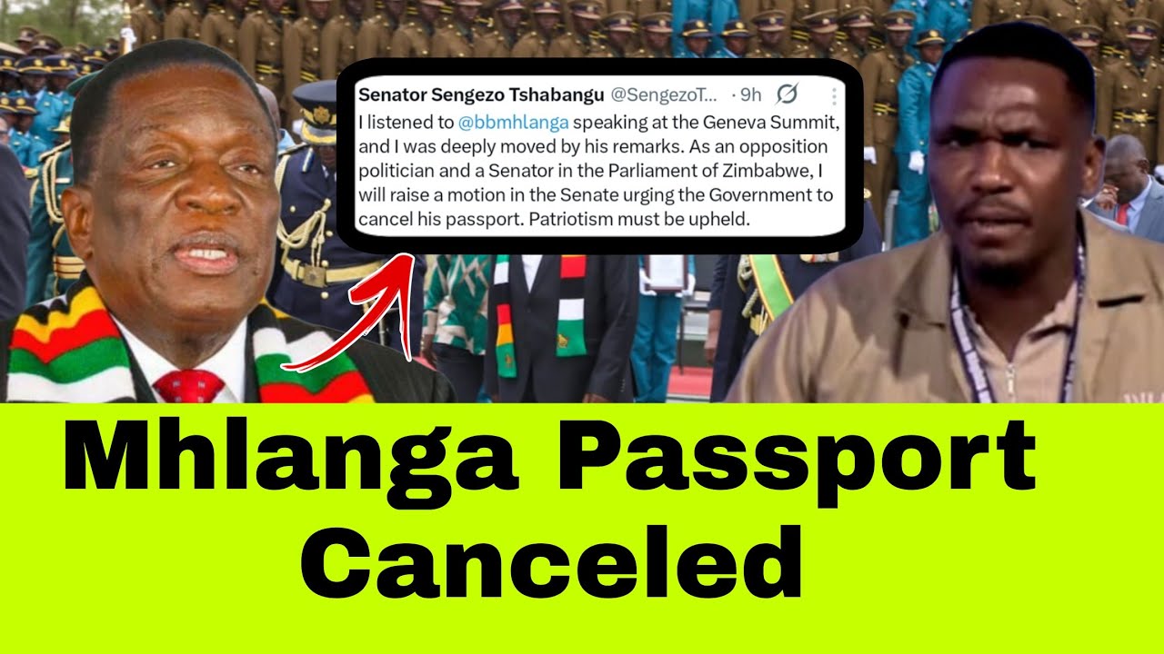 Mhlanga Passport to  Canceled | ED must Resign immediately 