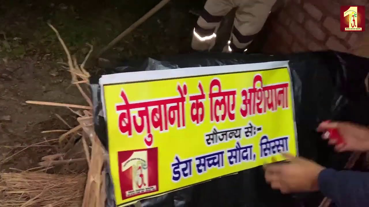 बेज़ुबानो के लिए आशियाना | डेरा सच्चा सौदा, यमुनानगर, हरियाणा