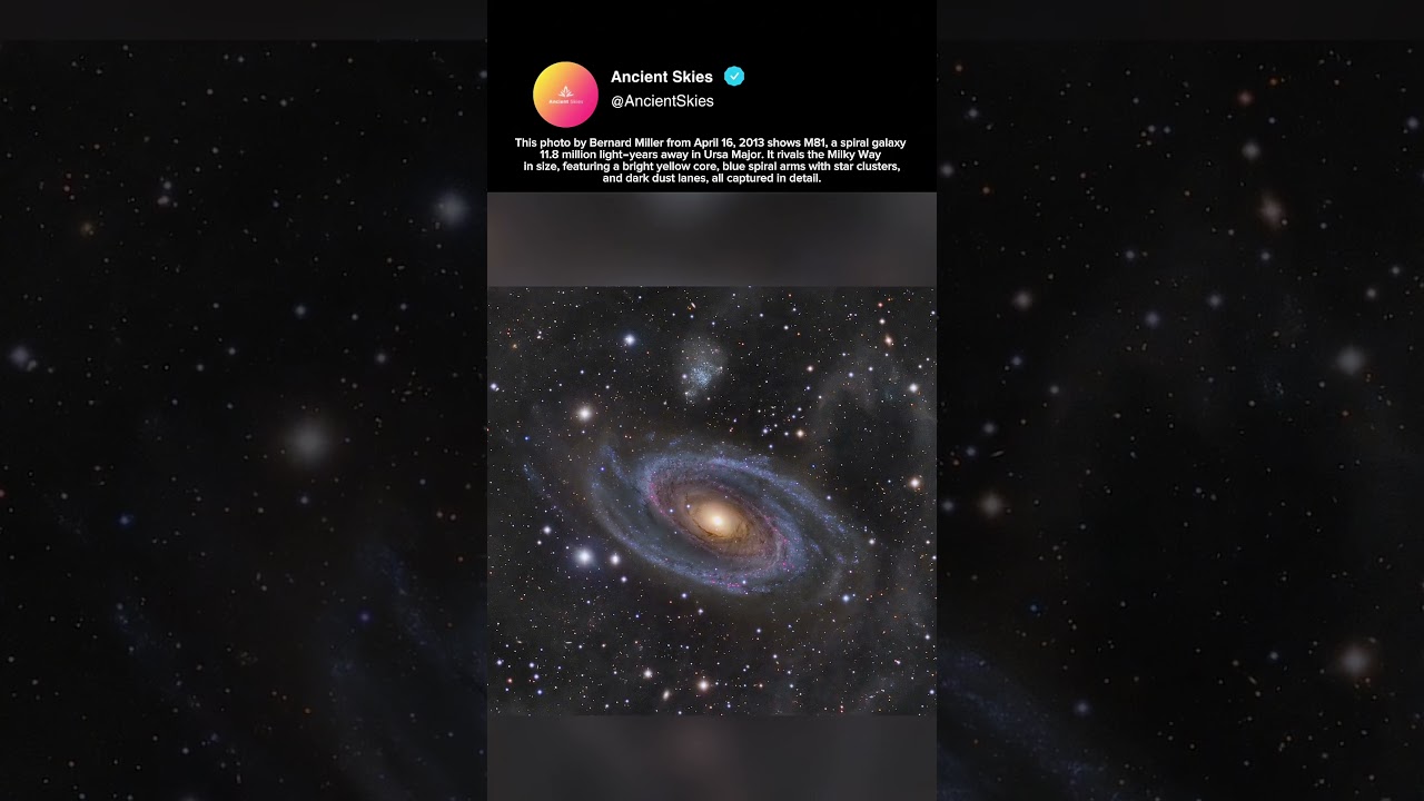 Bernard Miller’s M81 Spiral Galaxy: Bright Core and Blue Star Clusters 