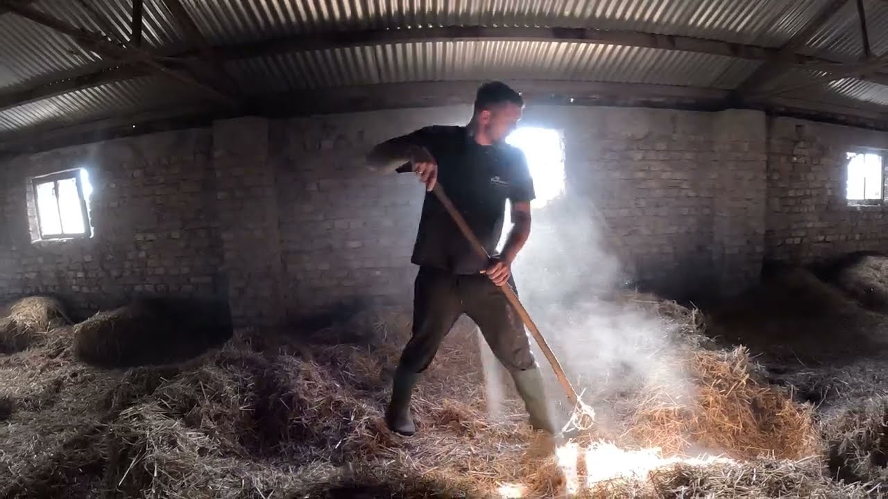WIELKIE SPRZĄTANIE STRYCHU NA STODOLE🏚️💪🏻CLASS POJECHAŁ KOSIĆ ŁĄKI 😎🔥 ZMIANY NA GOSPODARSTWIE😱