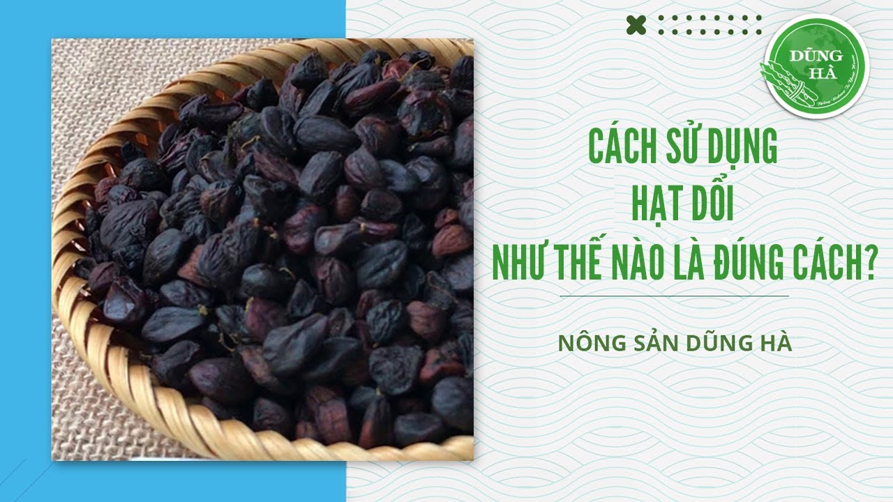 C&aacute;ch Sử Dụng Hạt Dổi Như Thế N&agrave;o L&agrave; Đ&uacute;ng C&aacute;ch?