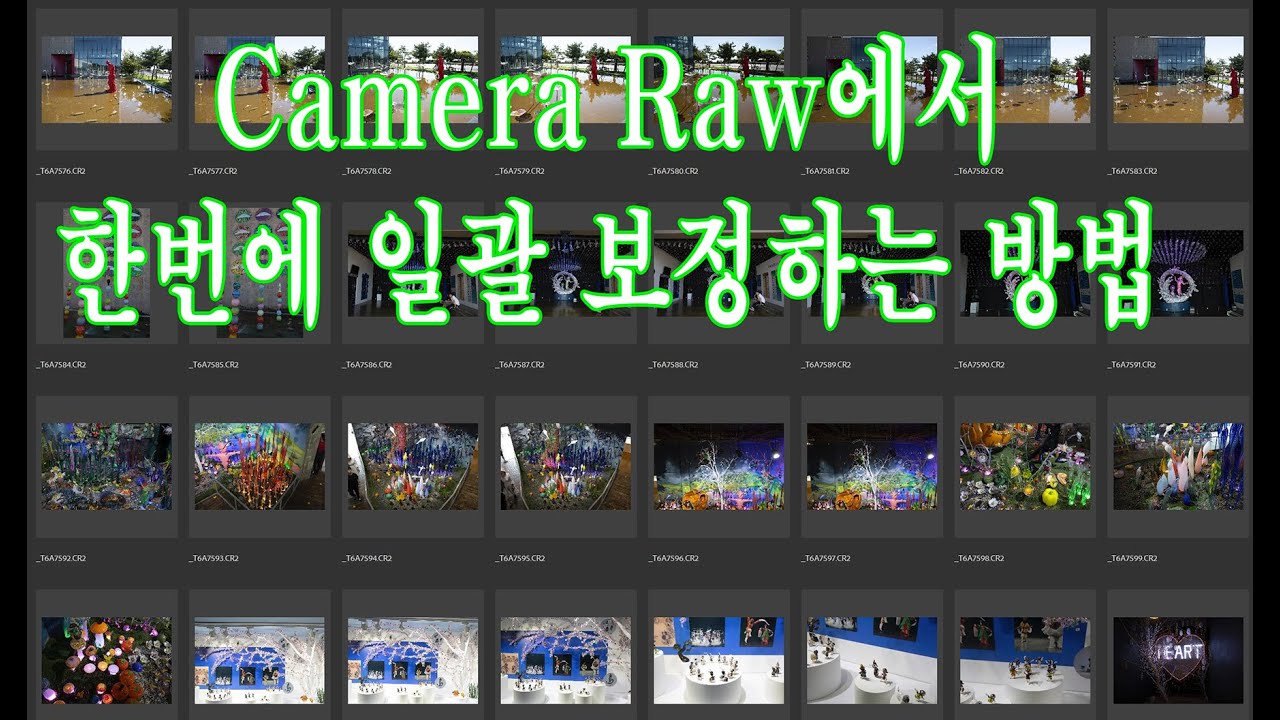 Camera Raw에서 일괄보정하는 방법