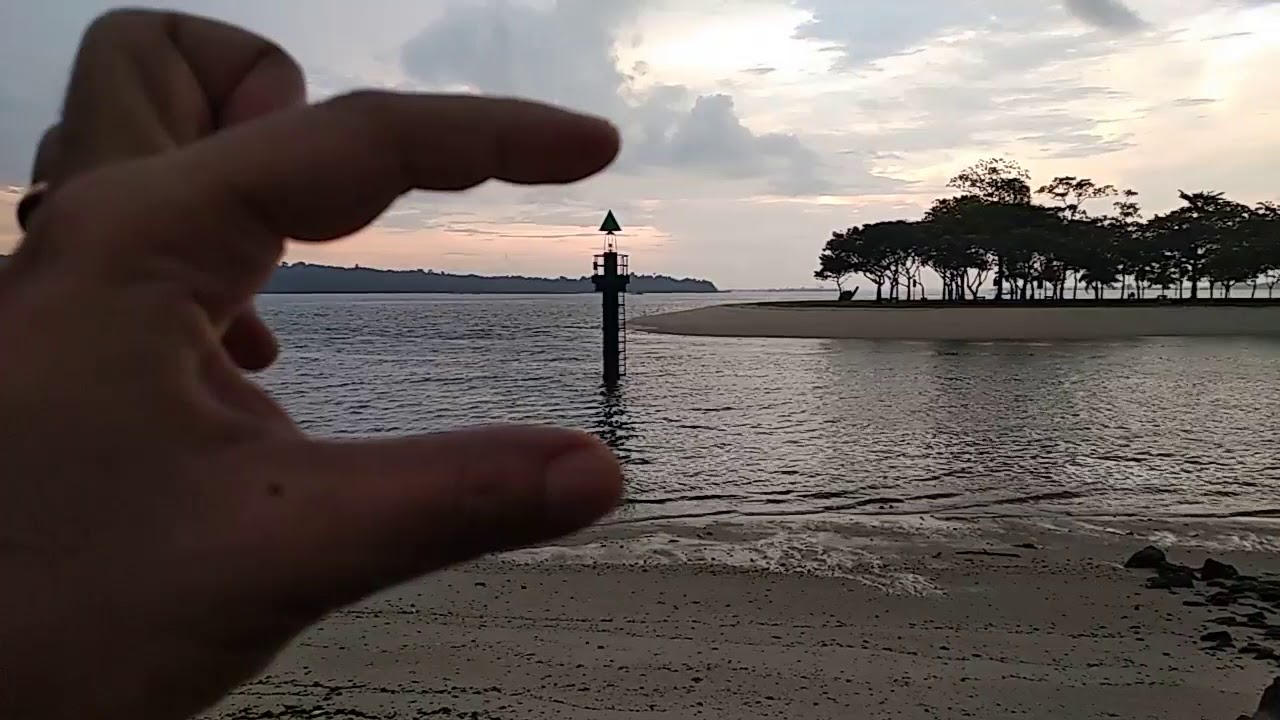 Handsome Man Goes To The Beach