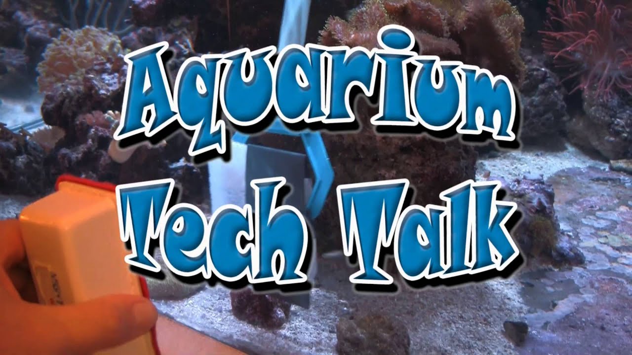 Polish Scratches Out of Acrylic Aquarium, LA Fishguys Tech Talk Episode 149, part 1
