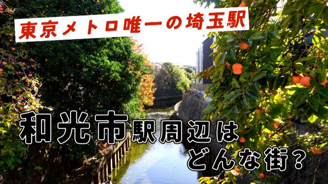 東京メトロ唯一の埼玉県駅　和光市駅周辺　和光市・埼玉県ディープスポット