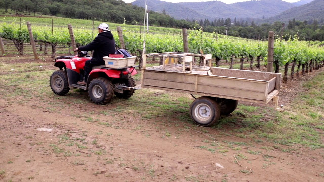 Del Rio Vineyard Estate Brand Story