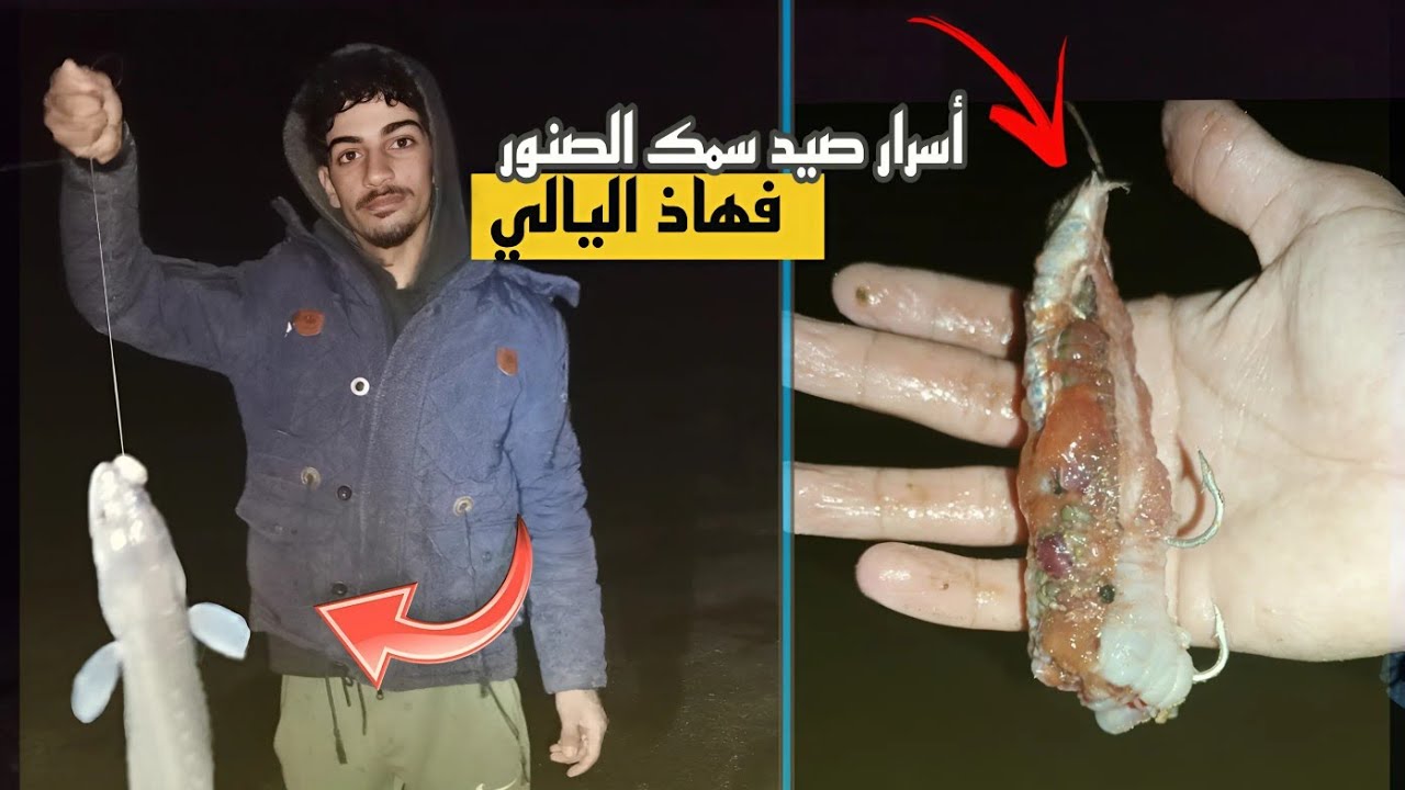 أسرار صيد سمك الصنور بالقصبة ليلا مع احسن طريقة لتركيب الخطاف في الطعم 🎣