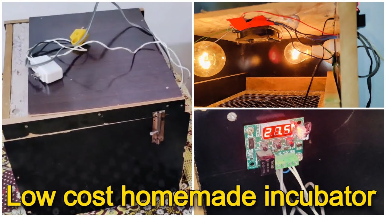 🔥 Easy DIY Incubator for Beginners | Hatch Eggs at Home 🐣🔥
