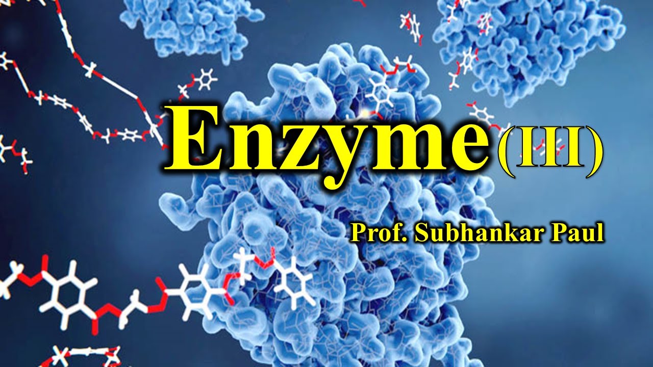 Structural Biology Lecture  15  II  Enzyme Part 3