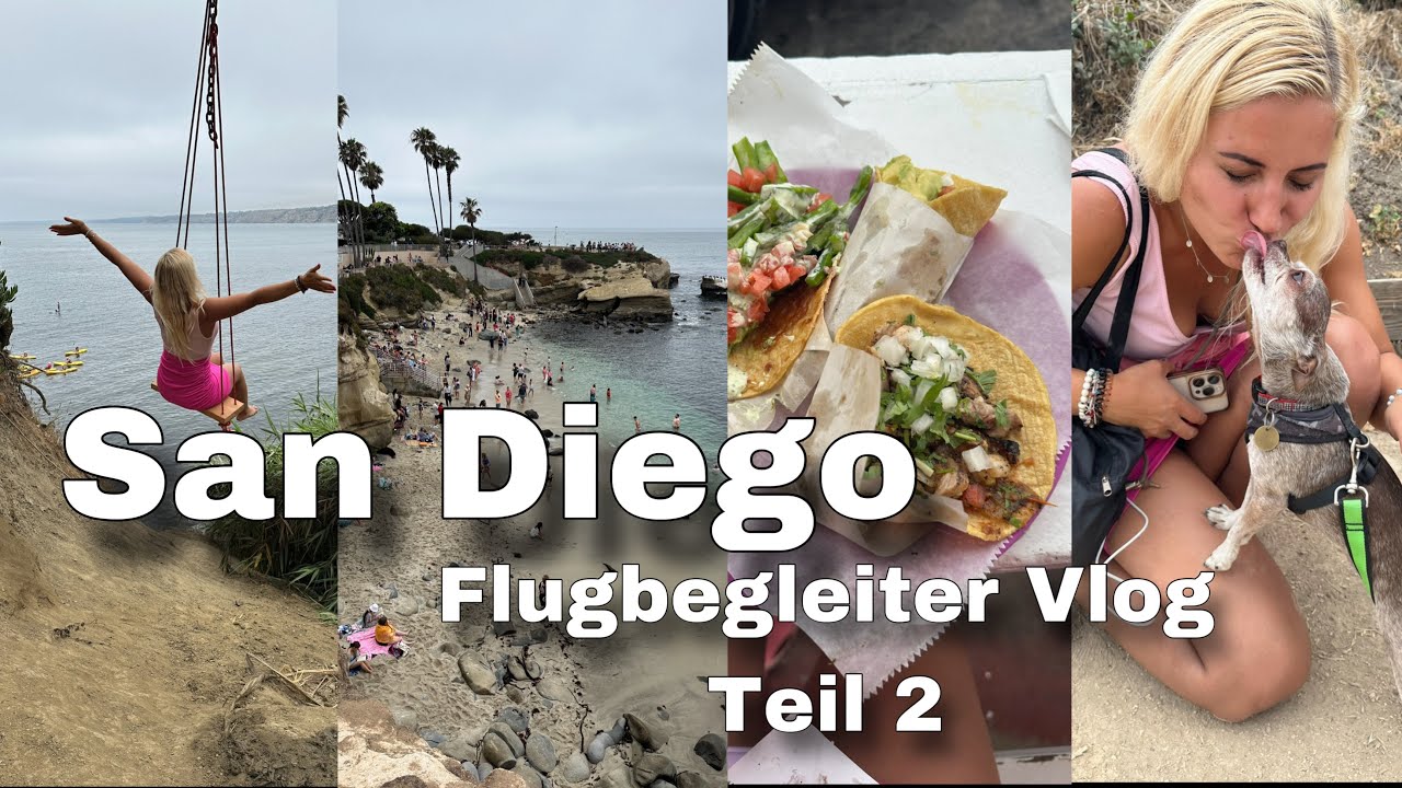 San Diego Vlog Teil 2: Kanu-Tour & Baden mit Seerobben in La Jolla - Flugbegleitervlog / andreaabaam