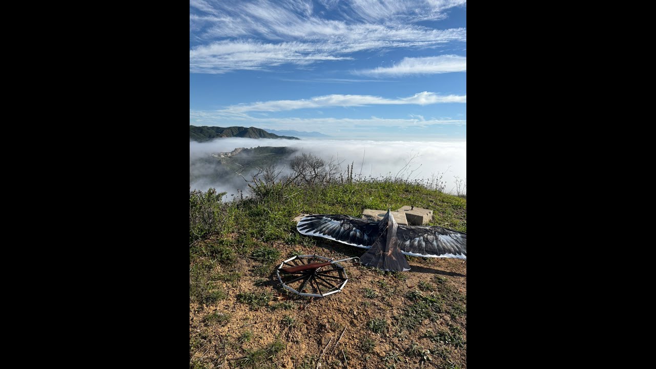 EPIC Eagle (Panying kite) Above the Clouds