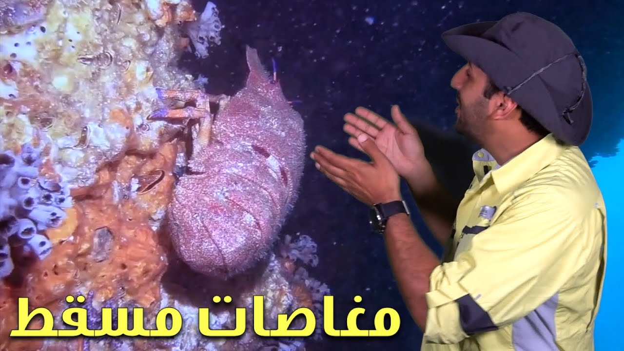 سحر الغوص في مسقط عمان || The Magic of Scuba Diving in Muscat Oman
