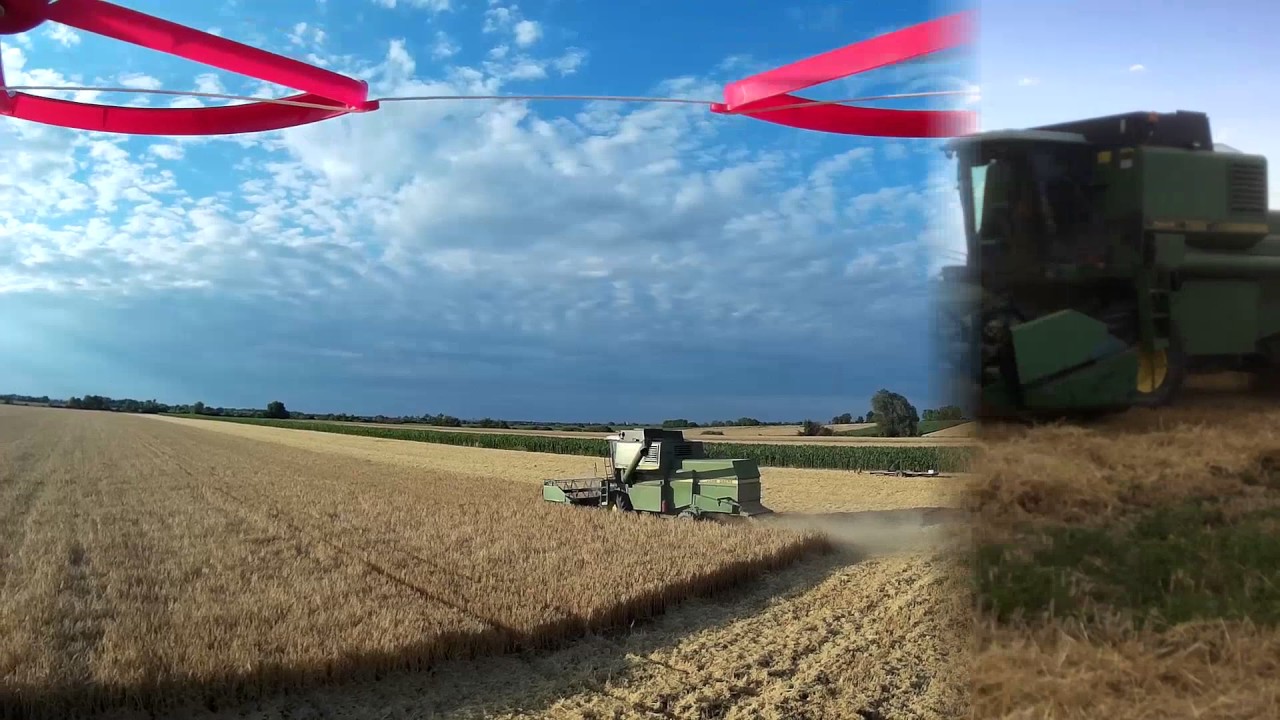 Árpa aratás//Barley harvest//Hungary//2017//
