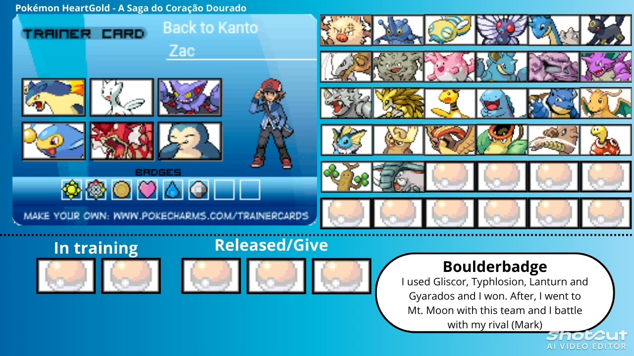 My Pokémon team (as a character from the series) Part 4: Back to Kanto Saga - trainer card
