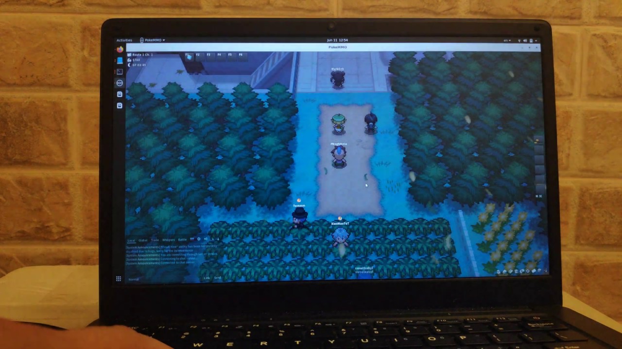 Pinebook Pro RK3399 PokeMMO
