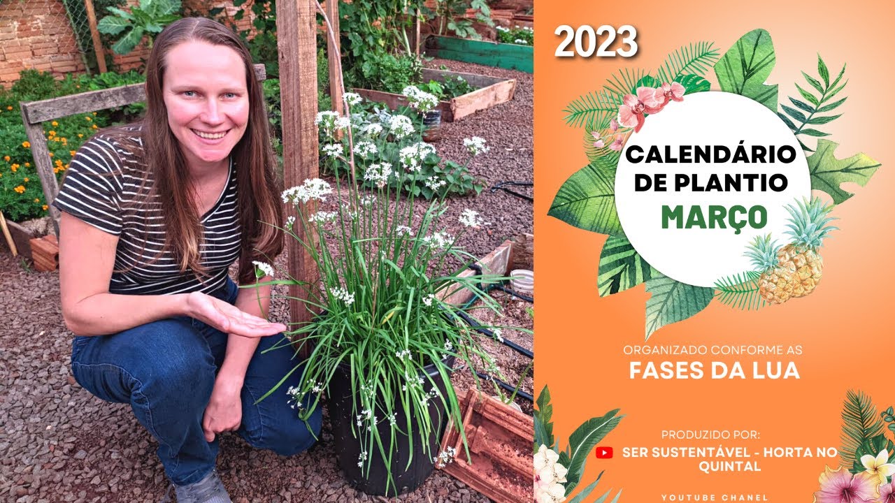 O Que Plantar em MARÇO de 2023? 📅 Calendário de Plantio Conforme as Fases da LUA🌱 Horta em Casa💚