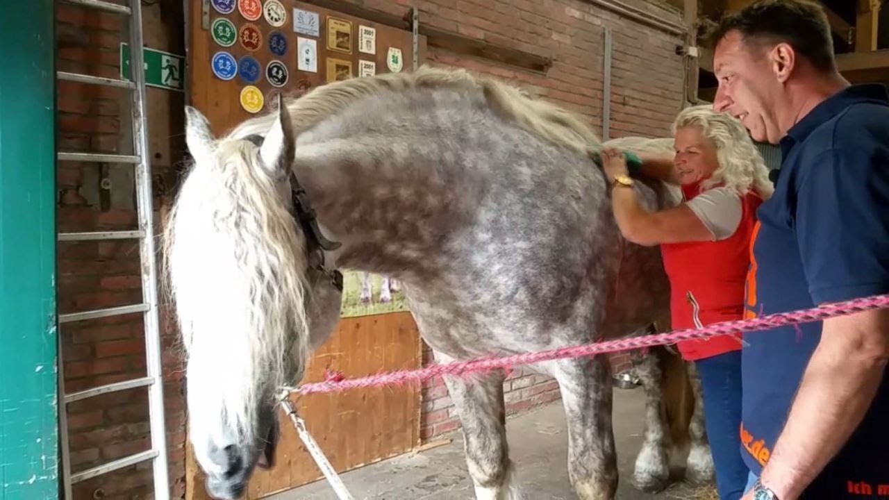 Neues vom Hankenhof - Besuch auf dem Hankenhof