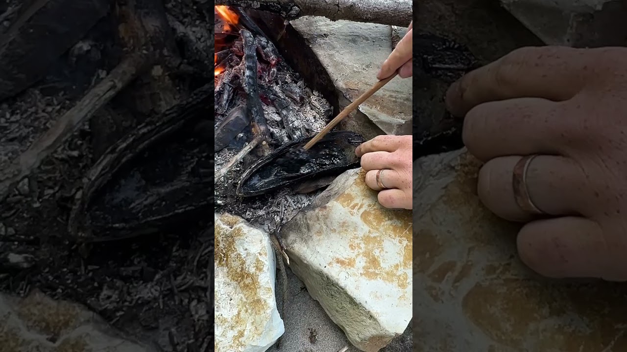 Клей из природы #выживание #кемпинг #на природе #природа #первобытный