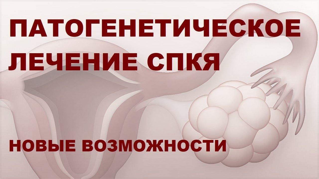 Берковская М.А. Патогенетическое лечение женщин с СПЯ: новые возможности