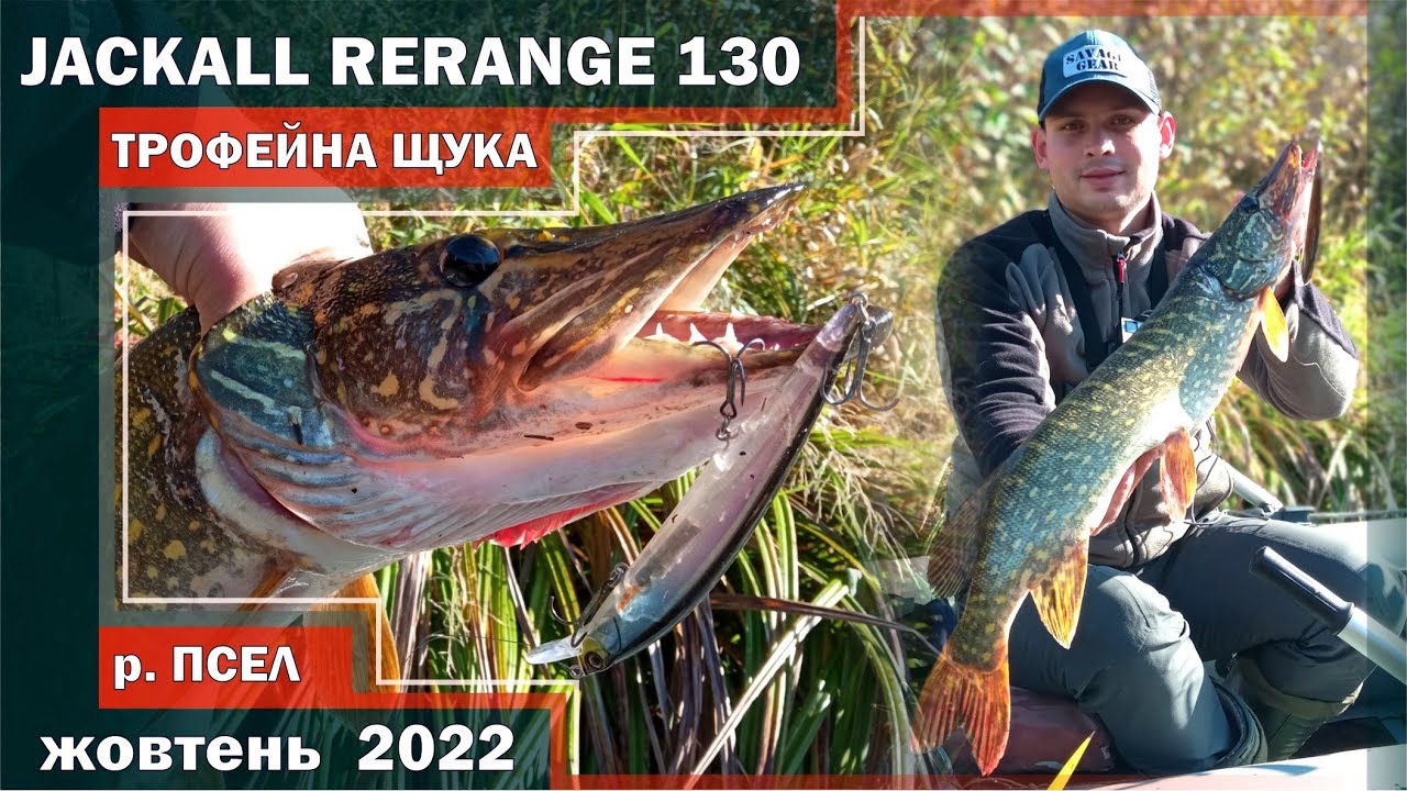 JACKALL RERANGE 130 - ВОБЛЕР на ТРОФЕЙНУЮ щуку! Верхний ПСЕЛ. Ловля щуки и голавля осенью 2022