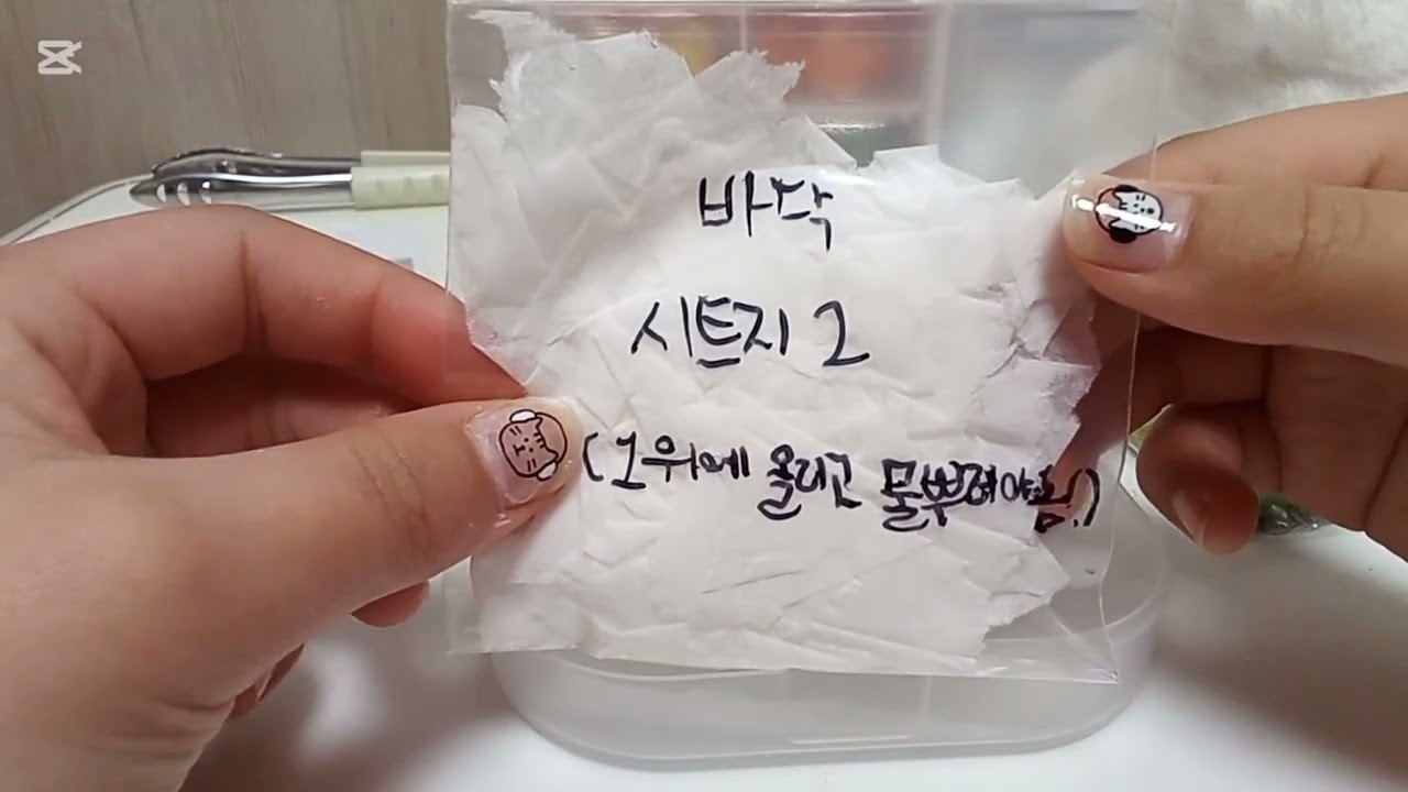 #인형계#2번째#떡상 ㅜ