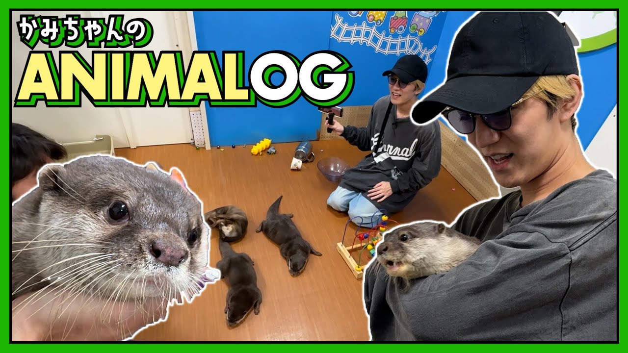【かみちゃんのANIMALOG🐶🐈】念願のカワウソカフェでめっちゃ癒されちゃいました