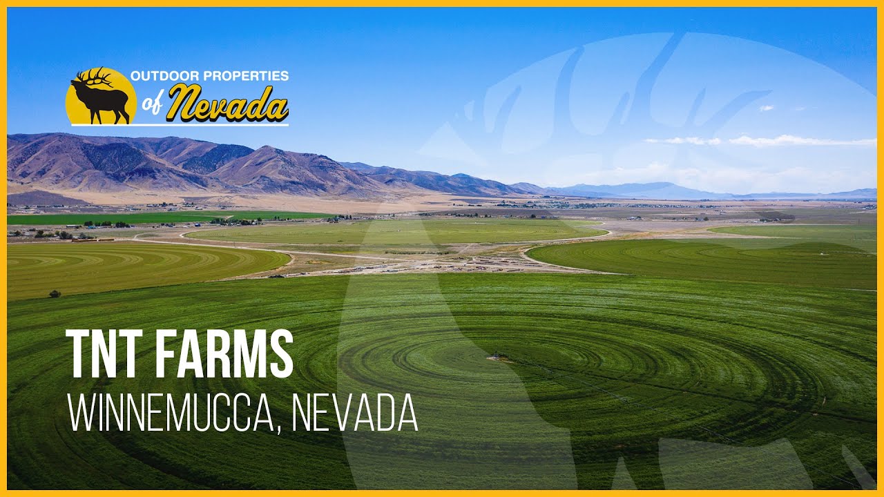 TNT Farms | Winnemucca, NV