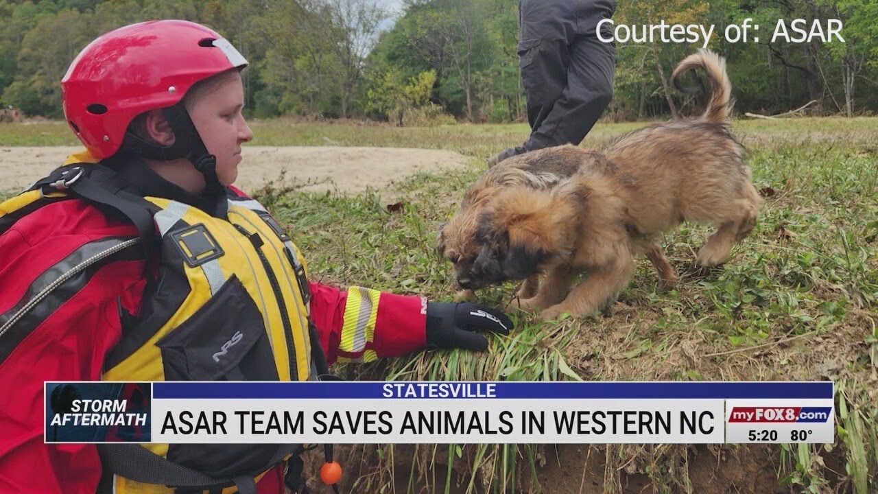 Animal Search and Rescue teams deployed in western North Carolina