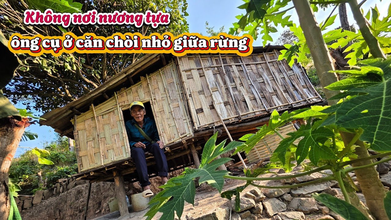 Ông cụ sống lủi thủi KHÔNG NƠI NƯƠNG TỰA giữa rừng || 500