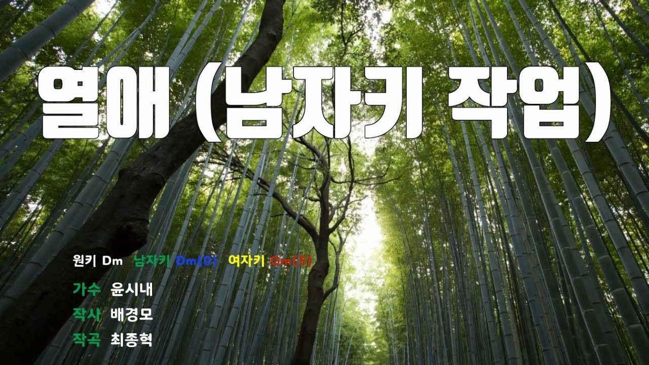 [은성반주기] 열애(남자키작업) - 윤시내 /MR/가사
