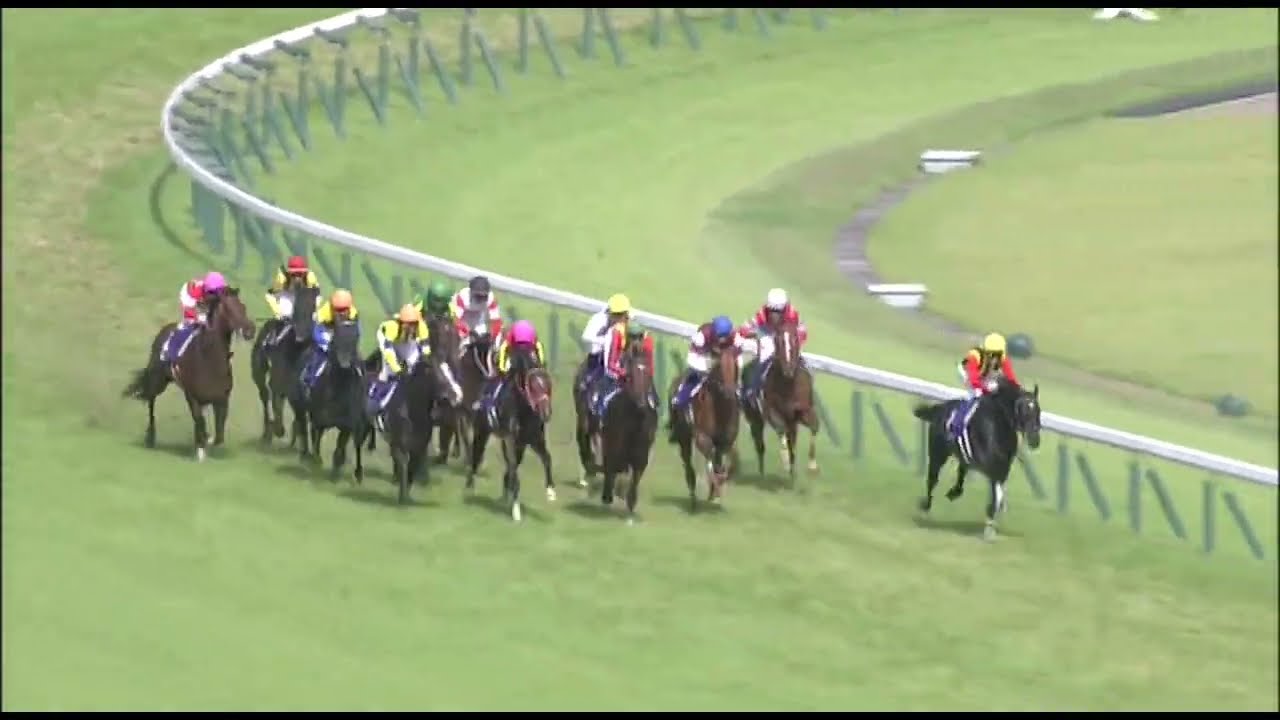 2016年安田記念　ロゴタイプ